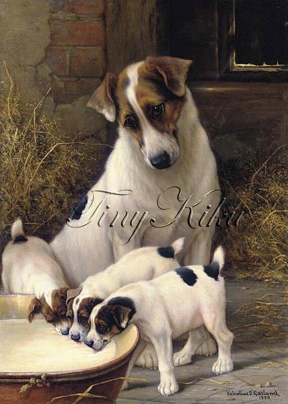 Short Hair Fox Terrier With Puppies Antique Art Print Etsy