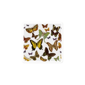 Vintage Moth Butterfly Sticker Decal