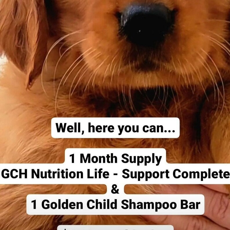 Multivitamins Premium Dog Chicken / Lamb Colostrum, Supperfoods