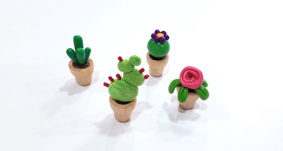 4 Tiny Miniature Succulent Cactus Desk Plant Wedding Favor Etsy