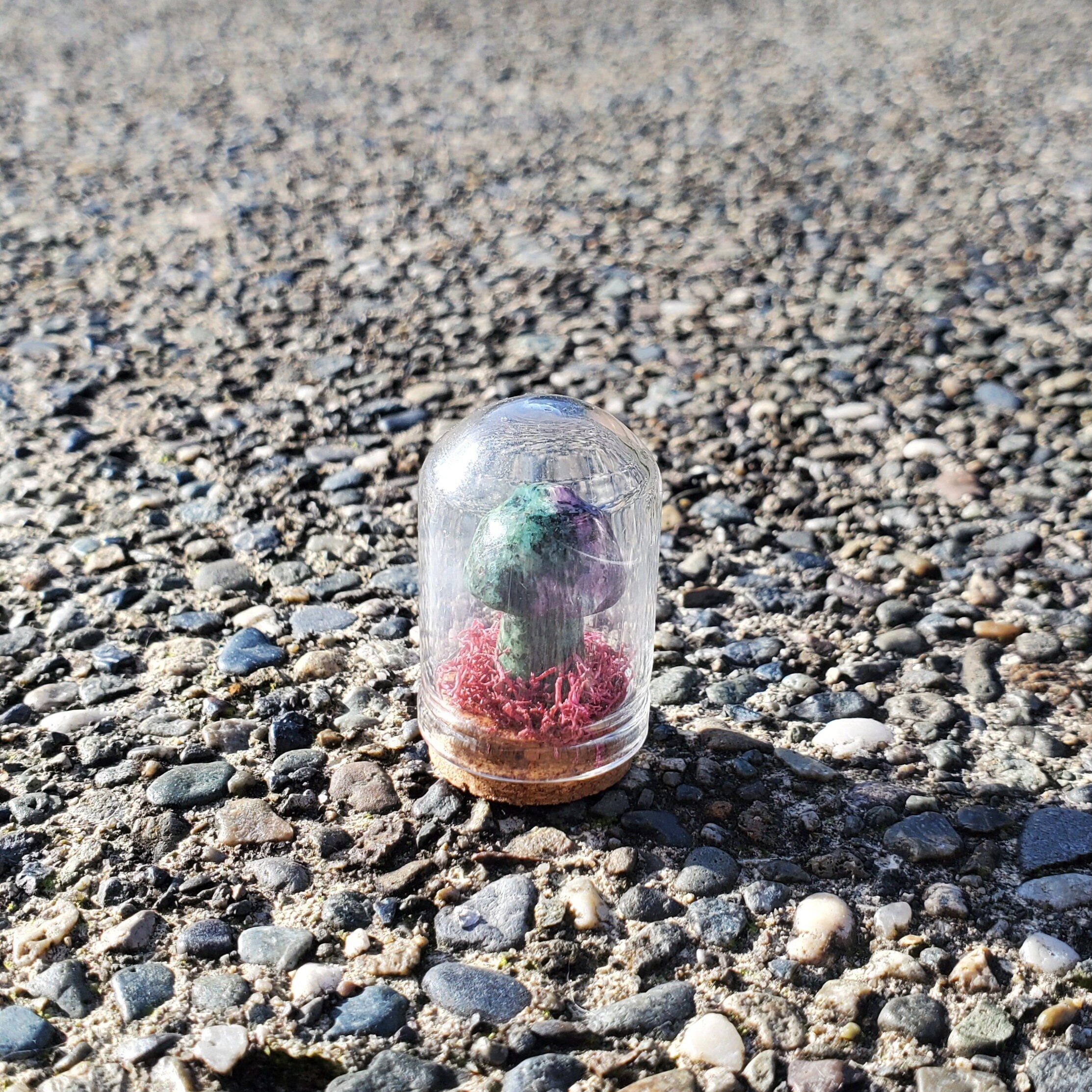 Miniature Crystal Mushroom Moss Terrarium | Tiny Glass Cloche | RUBY ZOISITE
