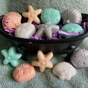 Mini SeaShell Soaps - Sanddollar, Starfish, Seashells, Beach, Shore, Sea Shell, Summer, Bridal Shower, Wedding Favors, Decorative Soaps