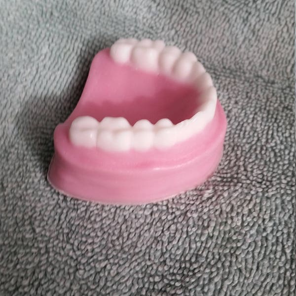 False Teeth Soap - Fake teeth, Dentist ,Party favor, Dental gift, Gag Gift, Birthday Gift, Dental, Novelty Soaps, Teeth,