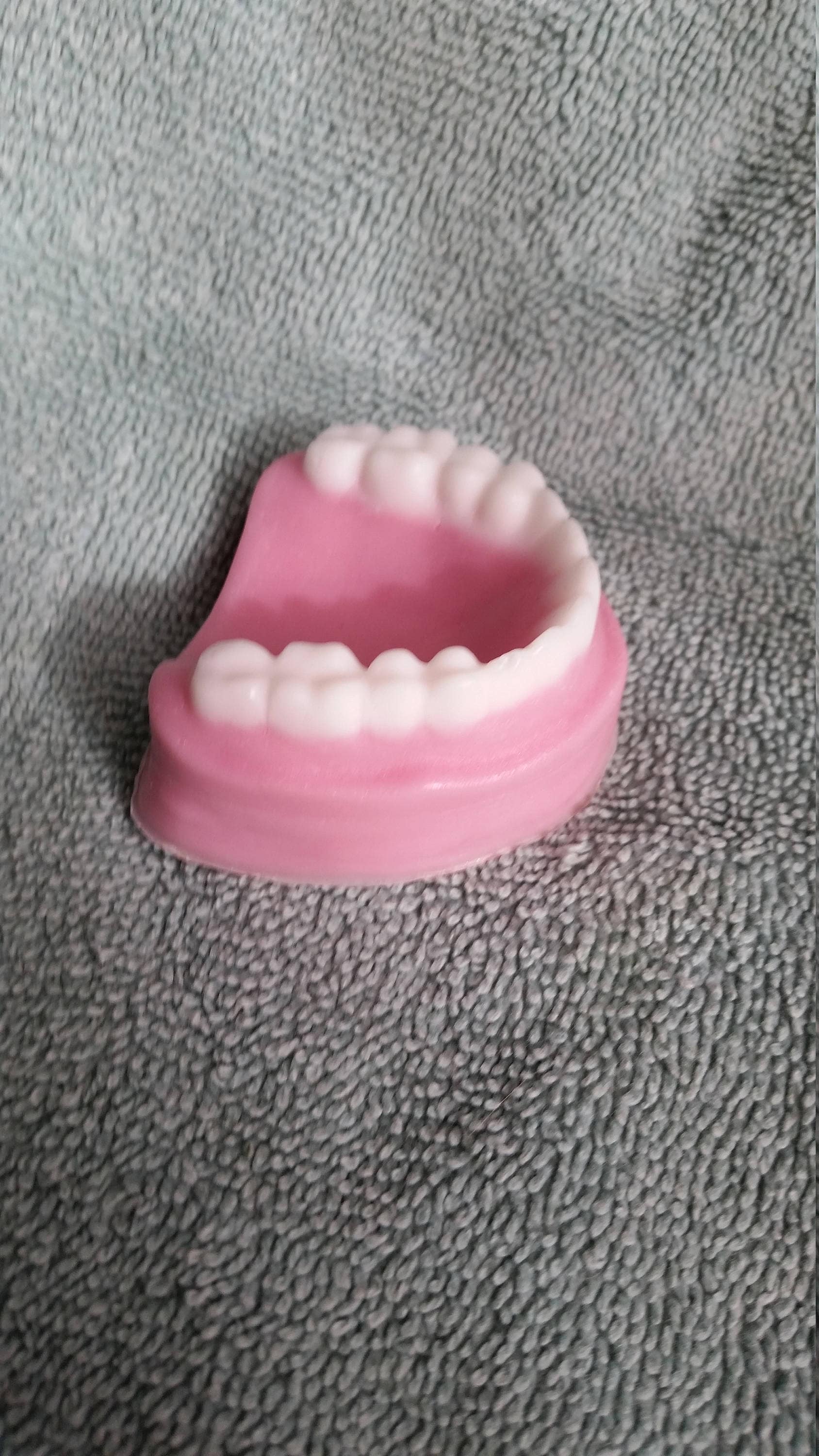False Teeth Soap Fake teeth Dentist Party favor Dental Etsy