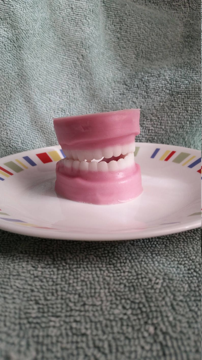 False Teeth Soap Fake teeth Dentist Party favor Dental Etsy