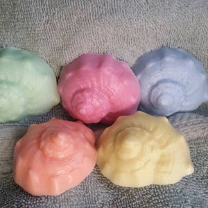 May include: Five colorful seashell-shaped soaps in shades of light blue, pink, yellow, and green. The soaps are arranged on a light gray textured surface.