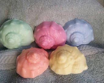 Conch Shell Mini Soap Set -  Beach theme, Shore,Seashell, Teacher gifts, New House gift, Summer,Sea Shore, guest soaps, small soaps