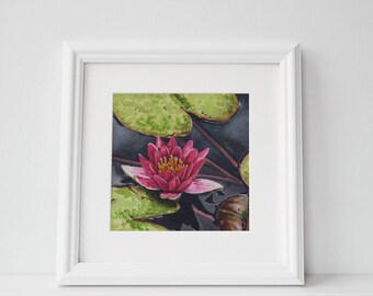 Water Lily I - Watercolor Series Fine Art Print