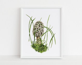 Morel in the Moss Watercolor Fine Art Print