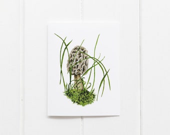 Morel in the Moss Greeting Card