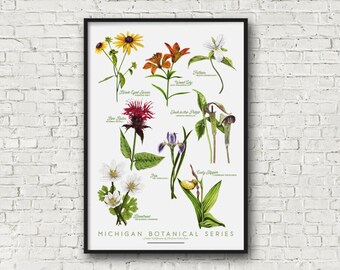 Michigan Botanical Watercolor Series Fine Art Print