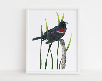 Limited Edition Fine Art Print - Red-Winged Blackbird - Original Watercolor Illustration