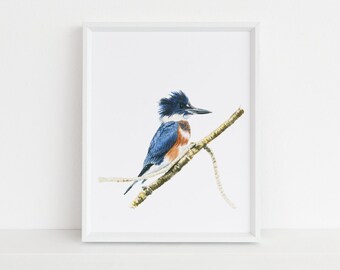 Kingfisher Watercolor Illustration Art Print