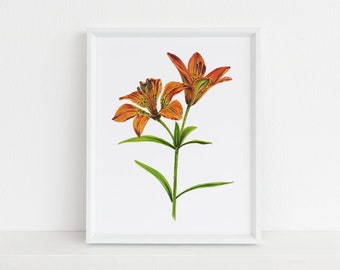 Wood Lily - Michigan Botanical Watercolor Series Art Print