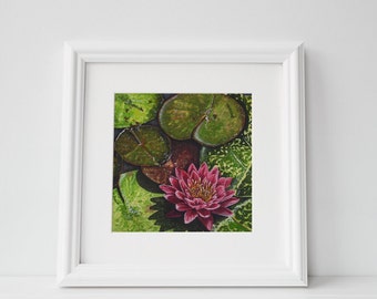 Water Lily II - Watercolor Series Fine Art Print