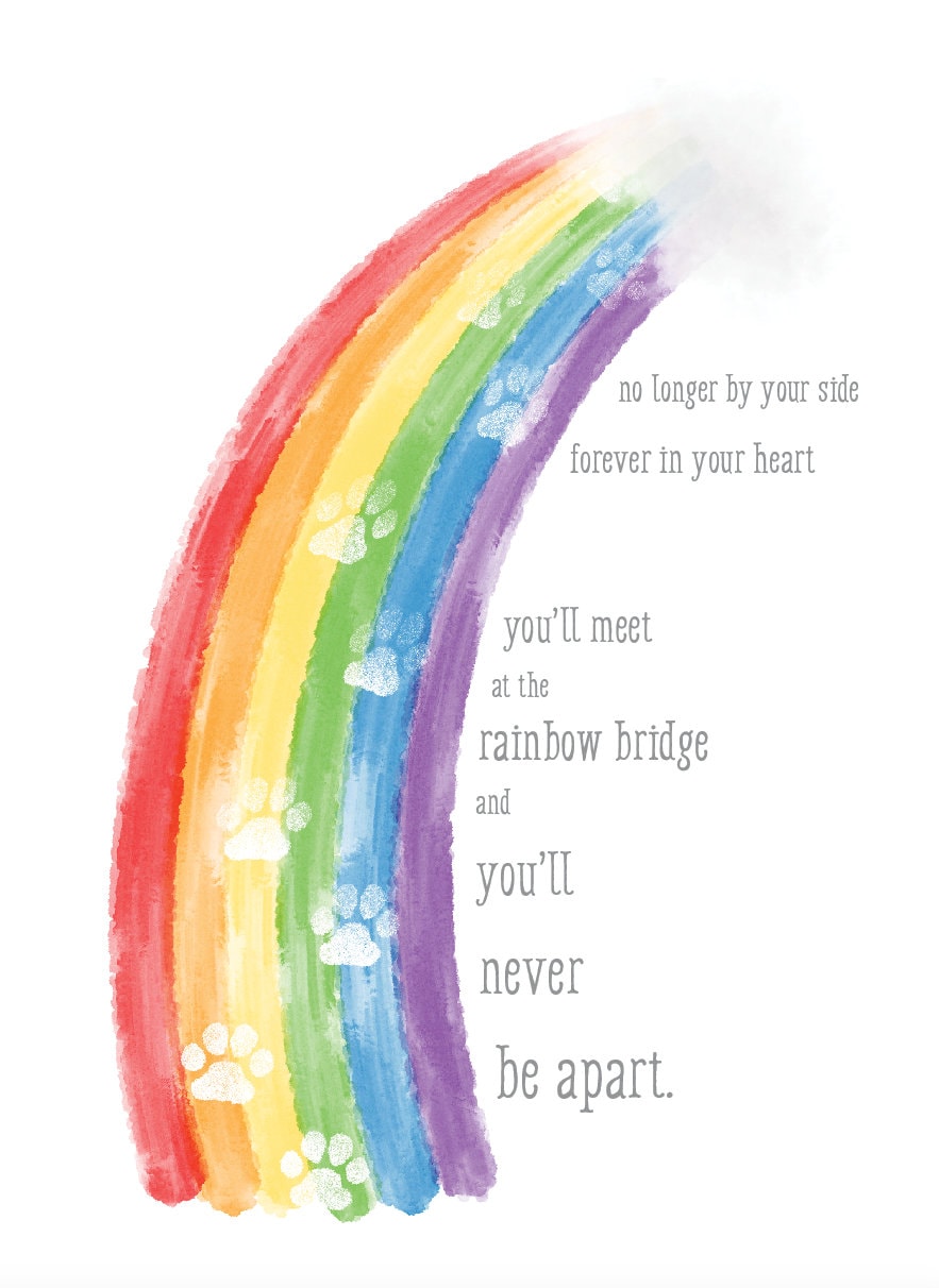 Rainbow Bridge Pet Loss Sympathy Card - Etsy