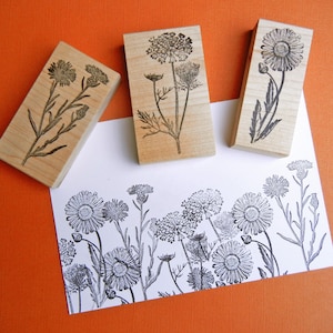 Thistle, Queen Anne's Lace and Daisy Flower Rubber Stamp SET, Fall Wildflower rubber stamps by Blossom Stamps