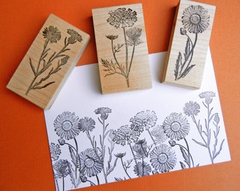 Thistle, Queen Anne's Lace and Daisy Flower Rubber Stamp SET, Fall Wildflower rubber stamps by Blossom Stamps