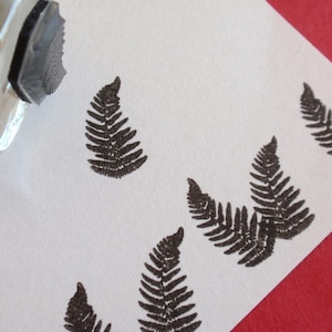 Timbre en caoutchouc petite fougère, timbre de mini fronde de fougère, timbre de silhouette de feuille de fougère d'autruche, timbre de plante des bois, 16 mm 5/8"