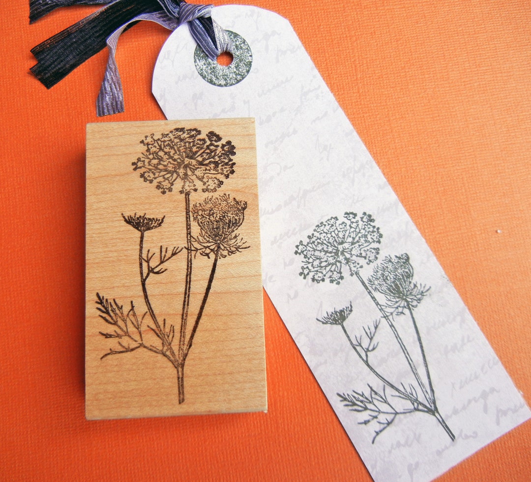 Queen Anne's Lace Wildflower Rubber Stamp, Wild Carrot Herb Stamp ...