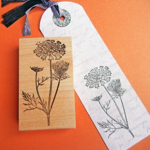 Sello de goma con flores silvestres de encaje de la reina Ana, sello con hierba de zanahoria silvestre, sello de goma con arte botánico de la reina Ana