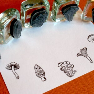 Tiny Mushroom Rubber Stamp Set Morel, Chanterelle, Gilled Mushroom, Bolete edible mushrooms, mycology gift by Blossom Stamps image 1