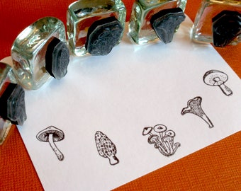 Tiny Mushroom Rubber Stamp Set - Morel, Chanterelle, Gilled Mushroom, Bolete - edible mushrooms, mycology gift by Blossom Stamps