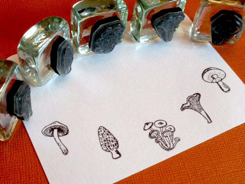 Tiny Mushroom Rubber Stamp Set Morel, Chanterelle, Gilled Mushroom, Bolete edible mushrooms, mycology gift by Blossom Stamps image 1