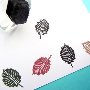 May include: A clear glass stamp handle is shown above several leaf-shaped stamp impressions in various colours. The impressions are black, brown, dark green, and red. The stamp is pressed onto white paper.