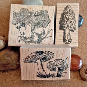 Mushroom Rubber Stamp Set - Morel, Chanterelle, Amanita Mushroom stamps, toadstool stamp, mushroom forager gift by Blossom Stamps