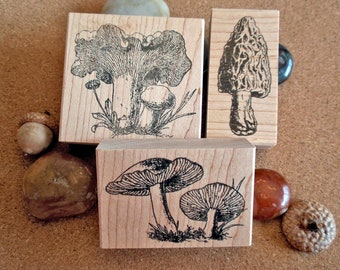 Mushroom Rubber Stamp Set - Morel, Chanterelle, Amanita Mushroom stamps, toadstool stamp, mushroom forager gift by Blossom Stamps