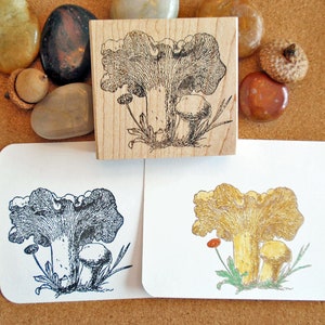 Golden Chanterelle Mushroom Rubber Stamp, Cantharellus mushroom art stamp, mycology gift by Blossom Stamps
