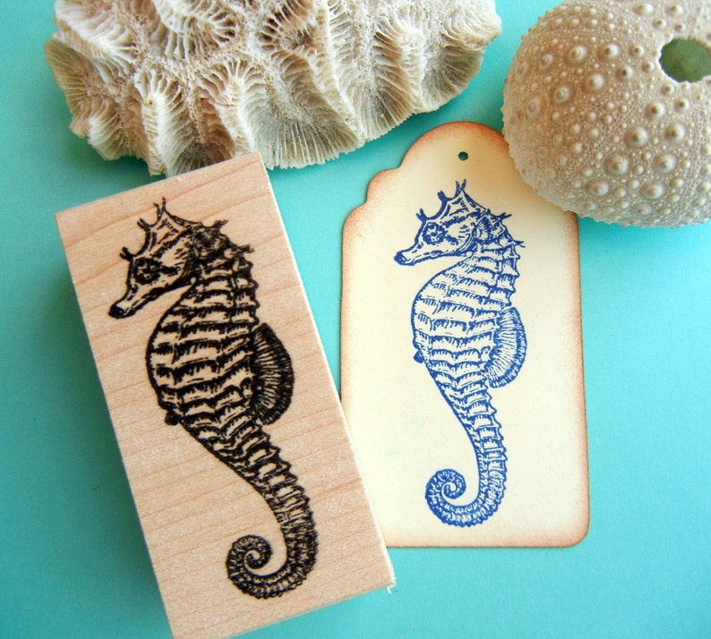 Seahorse Rubber Stamp, beach stamp - Handmade by BlossomStamps Seahorse Rubber Stamp, beach stamp - Handmade by BlossomStamps