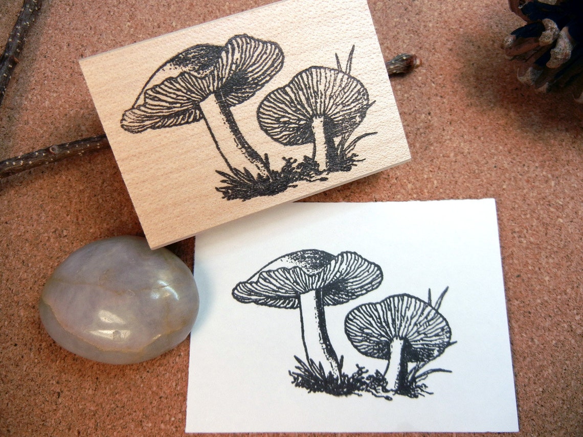Mushroom Rubber Stamp Realistic Mushroom Illustration Stamp Etsy