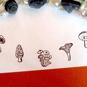 Tiny Mushroom Rubber Stamp Set Morel, Chanterelle, Gilled Mushroom, Bolete edible mushrooms, mycology gift by Blossom Stamps image 2