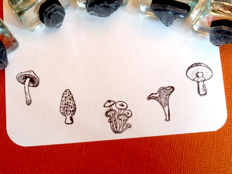 Tiny Mushroom Rubber Stamp Set Morel, Chanterelle, Gilled Mushroom, Bolete edible mushrooms, mycology gift by Blossom Stamps image 2