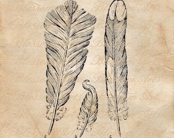 FEATHERS Instant Digital Download Clip Art