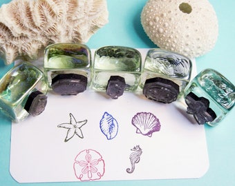 May include: Five clear glass stamp blocks with black rubber stamps of various sea life designs, including a starfish, seashell, seahorse, and sand dollar. The stamps are arranged in a row on a white card with the impressions of the stamps visible below.