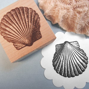 May include: A wooden stamp featuring a detailed illustration of a seashell. The seashell is brown and has a textured surface. The stamp is on a light blue background.
