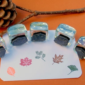 Tiny Leaf Rubber Stamp Set 16mm - Maple, Oak, Gingko, Pine, Elm leaves by Blossom Stamps