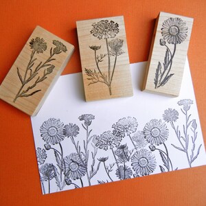 Queen Anne's Lace Wildflower Rubber Stamp, Wild Carrot Herb Stamp ...