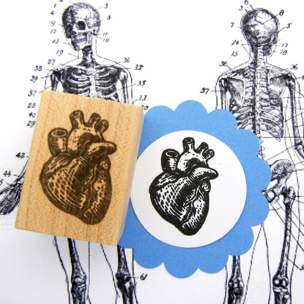 Anatomical Heart Rubber Stamp, human heart anatomy stamp, gift for medical student -  by Blossom Stamps