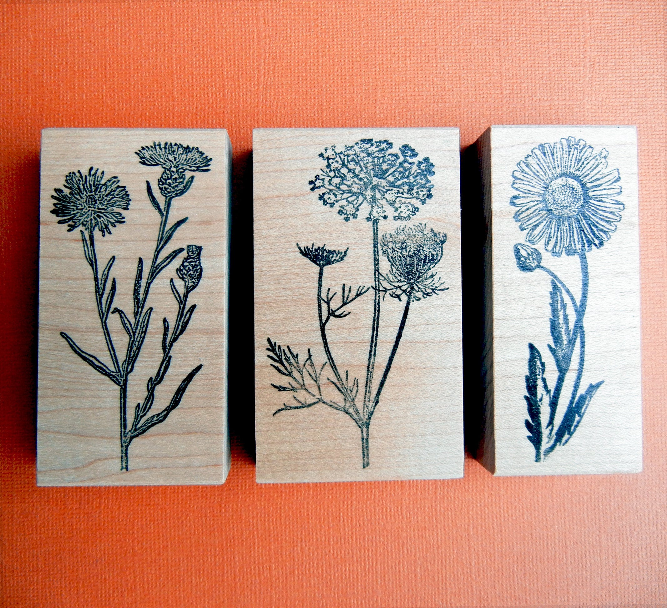 Thistle, Queen Anne's Lace and Daisy Flower Rubber Stamp SET, Fall ...