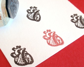 Anatomical Human Heart Rubber Stamp - Handmade rubber stamp by Blossom Stamps