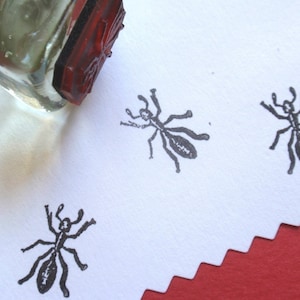 May include: Three black ant stamps on a white card. The stamps are made of rubber and are mounted on wooden blocks. The stamps are used to create decorative designs on paper.