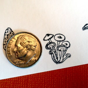 Tiny Mushroom Rubber Stamp Set Morel, Chanterelle, Gilled Mushroom, Bolete edible mushrooms, mycology gift by Blossom Stamps image 3