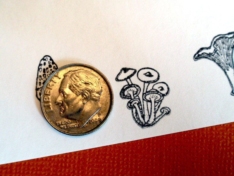 Tiny Mushroom Rubber Stamp Set Morel, Chanterelle, Gilled Mushroom, Bolete edible mushrooms, mycology gift by Blossom Stamps image 3