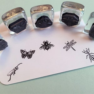 Tiny Insect Bug Rubber Stamps Set 16mm bee, butterfly, grasshopper, ant and dragonfly buy 4, 1 free pricing Handmade by Blossom Stamps image 1
