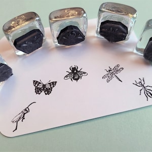 Tiny Mini Insect Bug Rubber Stamps Set of 5, buy 4, 1 free, - bee, butterfly, grasshopper, ant and dragonfly, 16mm 5/8"