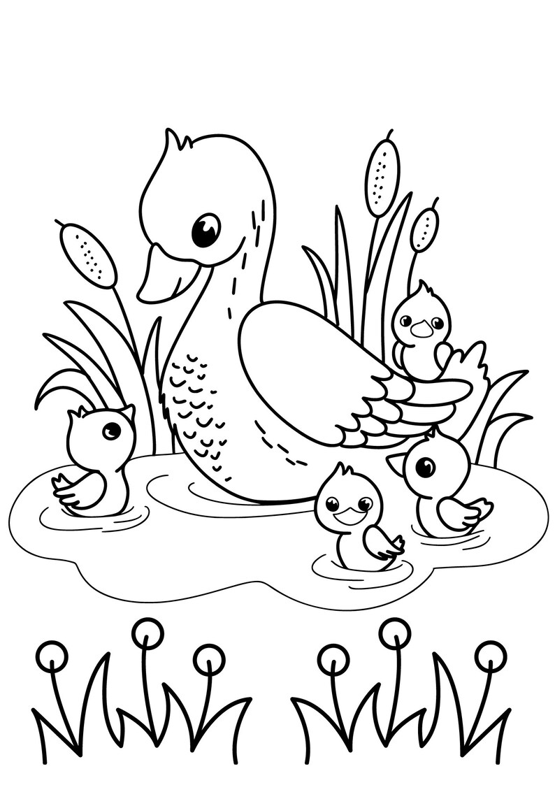 Coloring Page Theme Duck Family - Etsy